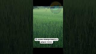 Я, коли повертаюсь у рідне село  #україна #уменеєтвіт #село