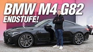 BMW M4 G82 | Der Sound scheppert alles weg! | Alpha Customs