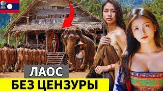 Жизнь в Лаосе: Дешевая страна для жизни с красивыми женщинами и странными вещами