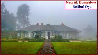 Beautiful Nagrak Bungalow | සුන්දර නැග්රක්‌ බංගලාව, Non Pareil Estate, Belihul Oya (2015)