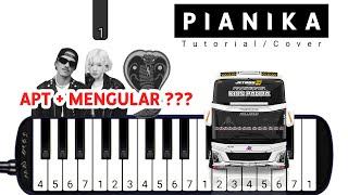 Pianika Telolet Basuri APT MENGULAR - Tutorial Pianika