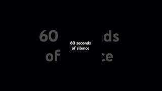 Wait! 60 Seconds of Silence! #nothing