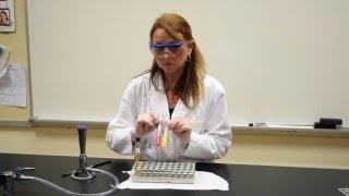 How to Inoculate & Interpret a PRDB or PRLB Tube - MCCC Microbiology