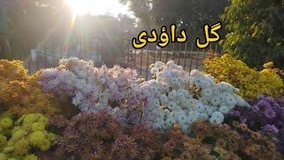 JILANI PARK LAHORE FESTIVAL 2024 | RACE COURSE PARK | RACE COURSE PARK FESTIVAL | parks in lahore