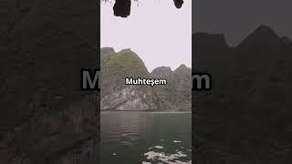 Ha Long Körfezi #doğa #seyahat #gezilecekyerler #gezi