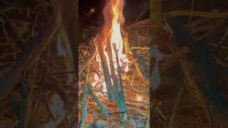 Tarp Shelter - Snowy Forest #shorts #asmr #bushcraft #shelter #food