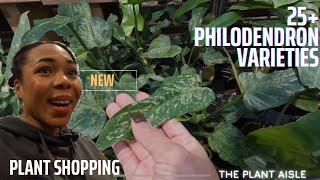 25+ PHILODENDRON VARIETIES | PLANT SHOPPING & PRICES | The Plant Aisles Ep 2