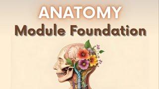 Anatomy ( Foundation ) Lec. 1 - Dr. Mahmoud Alaa