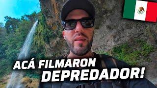 EN ESTA SELVA DE MEXICO SE FILMÓ LA PELICULA DEPREDADOR | PALENQUE