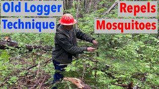 This Is How Loggers Keep Mosquitos From Eating Them Alive