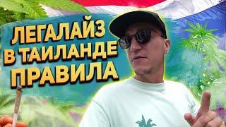 ЛЕГАЛАЙЗ в Таиланде! Правила и обзор магазина с ТРАВКОЙ.