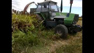 Picado de Sorgo para ensilar con fermentos Biotec.