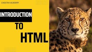 Introduction to HTML