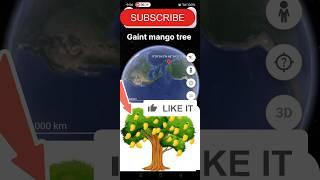 Gaint mango tree #scary #ss #googlemaps #googleearth #viral #scary #shortsfeed