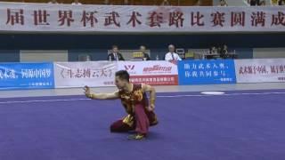 1st Taolu World Cup - Di Wang (CHN) - Men's Nanquan - 1st Place