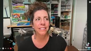 Go Fund Me Hawaii News Now Car Theft 24K Art Stolen