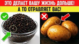 Золотое меню для пожилых: Эти 4 углевода ЕШЬТЕ, а эти 4 — СРОЧНО УБЕРИТЕ! Здоровье пожилых