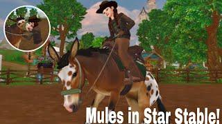 Buying the NEW MULES in STAR STABLE