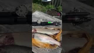 Удачная рыбалка