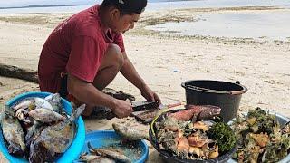 Pulau Angker Alamnya kaya Nombak Ikan buat makan siang di pantai #part1