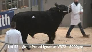 Aberdeen-Angus United Auctions, Stirling February Bull Sales 2021 (20/02/2021)