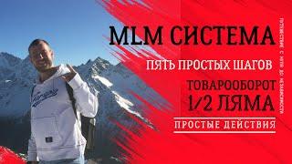 Простая система 5 шагов | запуск новичка в MLM | Доходный сетевой в интернете