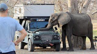 Can an elephant crush a Land Rover ? SCARY (297)