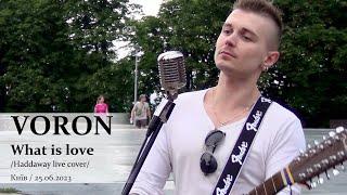 VORON. What is love (Haddaway live cover). Київ, 25.06.2023. @VoronSinger