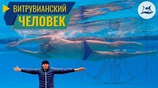 Как улучшить технику плавания кролем. Витрувианский человек
