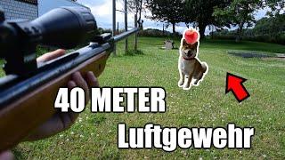 Uraltes Luftgewehr gefunden! Treffe ich auf 40 METER Distanz?