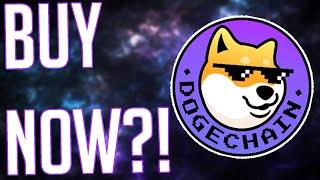 How To Buy DogeChain Tokens!!