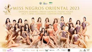 Miss Negros Oriental 2023 Talent night