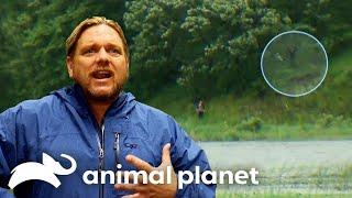 Bizarre Creature Caught Hunting Deer in the Woods | Finding Bigfoot | Animal Planet