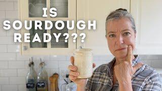 How To Know When Your Sourdough Starter is Ready For Baking?