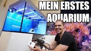 Kaum zu glauben.. FELIX TUNZES erstes AQUARIUM!!