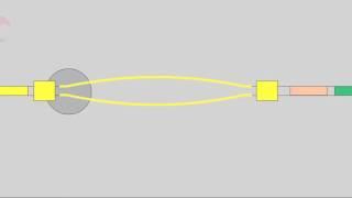 5 2 Isotype Switching