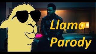 The Weeknd - Starboy Parody, Bumb in Your Home (Llama Parody)