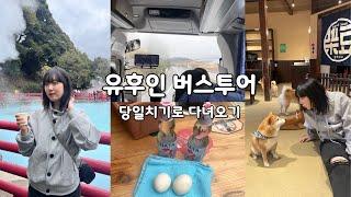 유후인 버스투어 후쿠오카 당일치기 여행 | 여기는 일본인가 한국인가 | 다자이후 유후인 벳푸 | 후쿠오카 여행 | 후쿠오카 버스투어 | 유후인 맛집