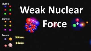 Weak Nuclear Force Explained | Weak Force | What Causes Weak Nuclear Force | Strong Nuclear Force