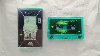 Tegu ~ Owl Island (2024) • [cs rip] • [ambient / tropical / fourth world]