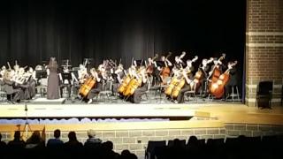 mark everly Live Stream