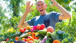 Organic Garden HARVEST, You CAN'T Buy Food This GOOD!