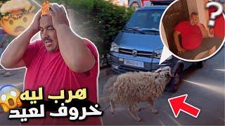 -اجواء عيد الكبير  مع نيبا او نخنوخ هرب ليه لخروف شوفو اش وقع…