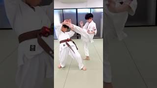 @OtaniDojo #kyokushin #shinkyokushin #karate #shorts #shortsvideo #1kyokushin #一極真 #極真会館