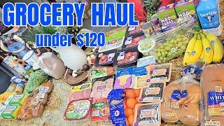 Budget Grocery Shopping That Will BLOW YOUR MIND! Aldi & Walmart