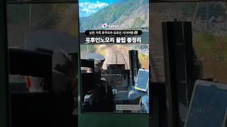 낭만 가득 후쿠오카 유후인 기차여행 유후인노모리 총정리! #유후인 #유후인여행 #유후인노모리 #후쿠오카여행 #후쿠오카
