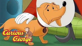 Curious George  Hundley is ill  Kids Cartoon  Kids Movies  Videos for Kids