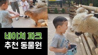 대구 네이처파크  강추하는 동물원  추천 가족 나들이 코스  추천 데이트 코스  Enjoyable and pleasant zoo