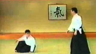 Ki Aikido - Taigi 15