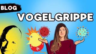 vogelgrippe